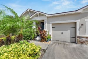 13012 RAIN LILY DRIVE, RIVERVIEW, FL 33579 - MLS#MFRTB8300095