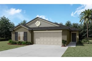 13481 JAMAICA PLANK LOOP, RIVERVIEW, FL 33579 Sold 01/24/25