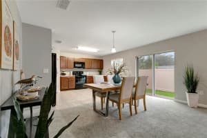 10448 LAGUNA PLAINS DRIVE, RIVERVIEW, FL 33578 Sold 03/13/25