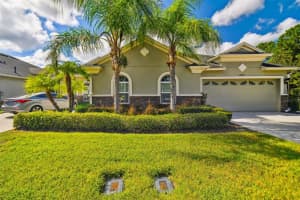 20610 AMANDA OAK COURT, LAND O LAKES, FL 34638 Sold 12/04/24