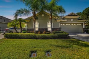 20610 AMANDA OAK COURT, LAND O LAKES, FL 34638 Sold 12/04/24