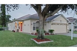 11201 BELLE HAVEN DRIVE, NEW PORT RICHEY, FL 34654 Sold 05/19/25