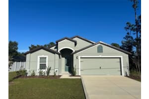 69 Raintree Pl, PALM COAST