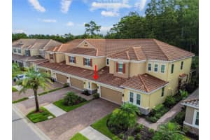 12311 TERRACINA CHASE COURT, TAMPA, FL 33625 Sold 04/18/25