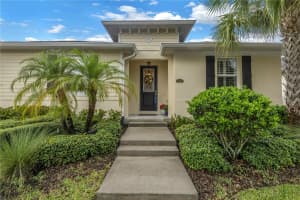 7009 BRIARHILL COURT, TAMPA, FL 33625 Sold 02/03/25