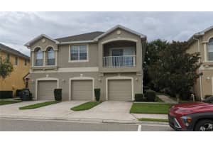 9052 MOONLIT MEADOWS LOOP, RIVERVIEW, FL 33578 Sold 12/06/24