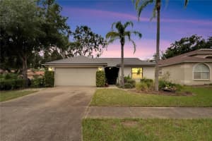 10228 ALLENWOOD DRIVE, RIVERVIEW, FL 33569 Sold 09/23/24