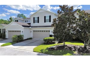 8116 HAMPTON VIEW LANE, TAMPA, FL 33647 Sold 01/21/25
