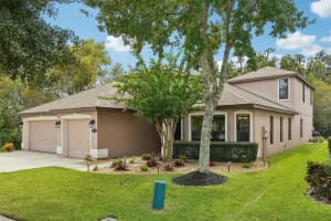 19220 PEPPER GRASS DRIVE, TAMPA, FL 33647 Sold 10/25/24