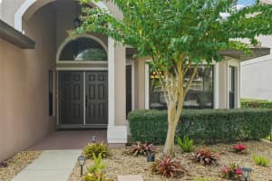 19220 PEPPER GRASS DRIVE, TAMPA, FL 33647 Sold 10/25/24