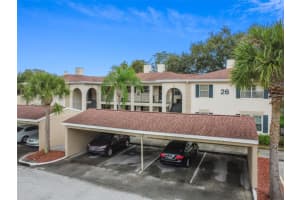 10382 CARROLLWOOD LANE, TAMPA, FL 33618 Sold 01/14/25