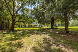 1404 PLATEAU DRIVE, BROOKSVILLE, FL 34602 Sold 03/11/25