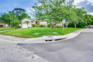 311 BAY HILLS BOULEVARD, SAFETY HARBOR, FL 34695 Sold 12/17/24