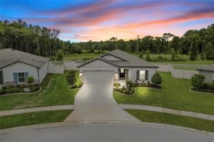 18696 ALFARO LOOP, SPRING HILL, FL 34610 Sold 10/29/24