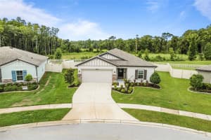 18696 ALFARO LOOP, SPRING HILL, FL 34610 Sold 10/29/24