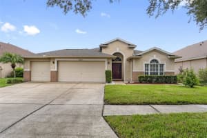 18203 COLLRIDGE DRIVE, TAMPA, FL 33647 Sold 03/24/25