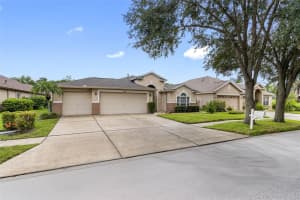 18203 COLLRIDGE DRIVE, TAMPA, FL 33647 Sold 03/24/25