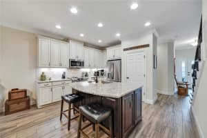 12304 TERRACINA CHASE COURT, TAMPA, FL 33625 Sold 12/20/24