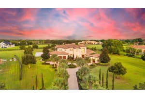 10603 LOW OAK TERRACE, THONOTOSASSA, FL 33592 - MLS#MFRTB8300833