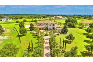 10603 LOW OAK TERRACE, THONOTOSASSA, FL 33592 - MLS#MFRTB8300833