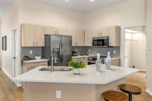 4803 BALSAM DRIVE, LAND O LAKES, FL 34639 Sold 01/15/25
