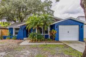 3303 RUSSETT DRIVE, TAMPA, FL 33618 Sold 03/21/25