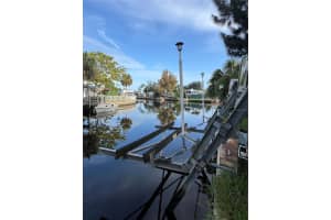 14633 WILLIAMS, HUDSON, FL 34667 - MLS#MFRTB8300960