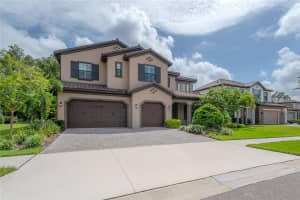 19607 WHISPERING FERN PLACE, LUTZ, FL 33558 Sold 11/08/24