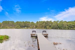 1203 OXBRIDGE DRIVE, LUTZ, FL 33549 Sold 02/10/25