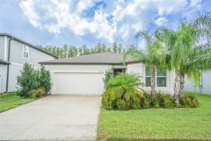 20970 MONZA LOOP, LAND O LAKES, FL 34638 Sold 12/13/24