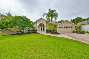 6508 STEEPLECHASE DRIVE, TAMPA, FL 33625 Sold 12/26/24