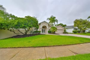6508 STEEPLECHASE DRIVE, TAMPA, FL 33625 Sold 12/26/24