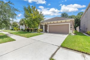 11405 QUIET FOREST DRIVE, TAMPA, FL 33635 Sold 05/16/25