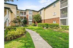4115 CHATHAM OAK COURT, TAMPA, FL 33624 Sold 03/03/25