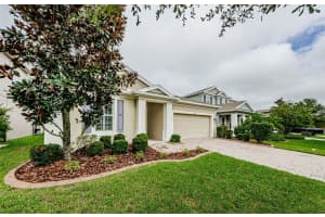 4187 JENSEN LANE, LAND O LAKES, FL 34638 Sold 11/04/24