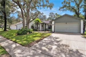 2804 ORMANDY COURT, TAMPA, FL 33618 Sold 10/28/24