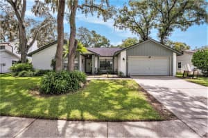 2804 ORMANDY COURT, TAMPA, FL 33618 Sold 10/28/24