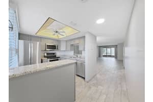 1370 HEATHER RIDGE BOULEVARD, DUNEDIN, FL 34698 - MLS#MFRTB8301374