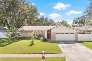 3913 KING DRIVE, BRANDON, FL 33511 Sold 10/21/24