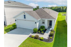 11934 DOWNY BIRCH DRIVE, RIVERVIEW, FL 33569 Sold 10/15/24
