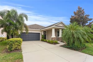 954 MOLLY CIRCLE, SARASOTA, FL 34232 Sold 03/31/25