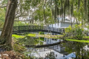 7402 BANK DRIVE, TAMPA, FL 33617 Sold 03/10/25