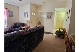 1301 BLOSSOM BROOK COURT, BRANDON, FL 33511 Sold 02/07/25