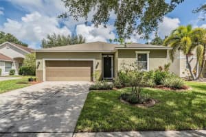 11126 GOLDENROD FERN DRIVE, RIVERVIEW, FL 33569 Sold 12/06/24