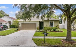 11126 GOLDENROD FERN DRIVE, RIVERVIEW, FL 33569 Sold 12/06/24
