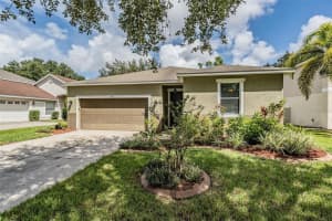 11126 GOLDENROD FERN DRIVE, RIVERVIEW, FL 33569 Sold 12/06/24