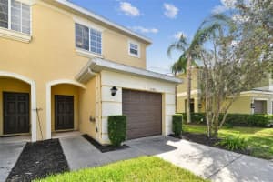20461 Berrywood Ln, TAMPA