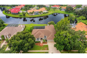 3910 ARLINGTON DRIVE, PALM HARBOR, FL 34685 Sold 12/13/24