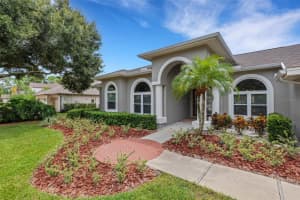 3910 ARLINGTON DRIVE, PALM HARBOR, FL 34685 Sold 12/13/24