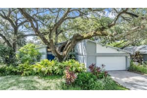 2251 WILLOWBROOK, CLEARWATER, FL 33764 Sold 01/14/25